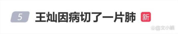 国际足联世界杯赛事入口 王灿因病切了一派肺 乐不雅濒临病痛