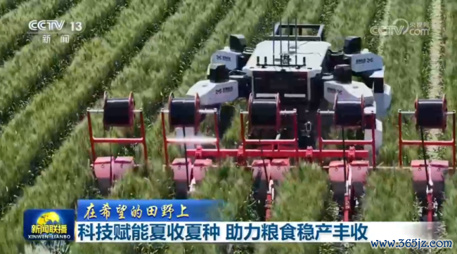 科技赋能夏收夏种 助力食粮稳产丰充 聪惠农机显本事