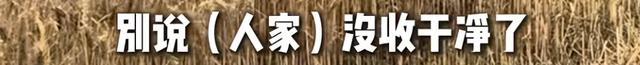 河南矿山再发520万“三夏”红包 不绝20多年关爱职工