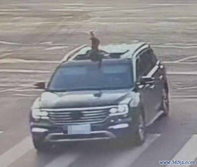 长治警方合手获砸车盗窃嫌疑东谈主 12小时极速破案