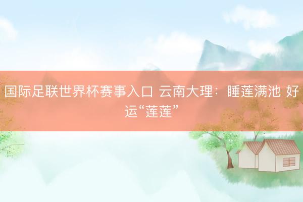 国际足联世界杯赛事入口 云南大理：睡莲满池 好运“莲莲”