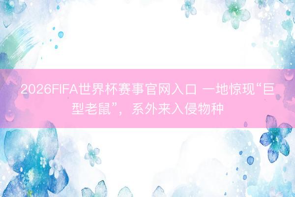 2026FIFA世界杯赛事官网入口 一地惊现“巨型老鼠”，系外来入侵物种