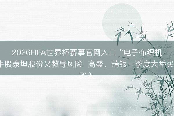 2026FIFA世界杯赛事官网入口 “电子布织机”牛股泰坦股份又教导风险  高盛、瑞银一季度大举买入