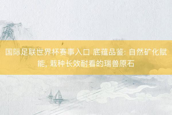 国际足联世界杯赛事入口 底蕴品鉴: 自然矿化赋能， 栽种长效耐看的瑞兽原石