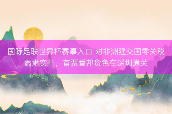 国际足联世界杯赛事入口 对非洲建交国零关税肃肃实行,首票番邦货色在深圳通关