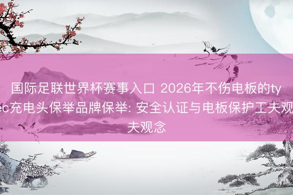 国际足联世界杯赛事入口 2026年不伤电板的typec充电头保举品牌保举: 安全认证与电板保护工夫观念